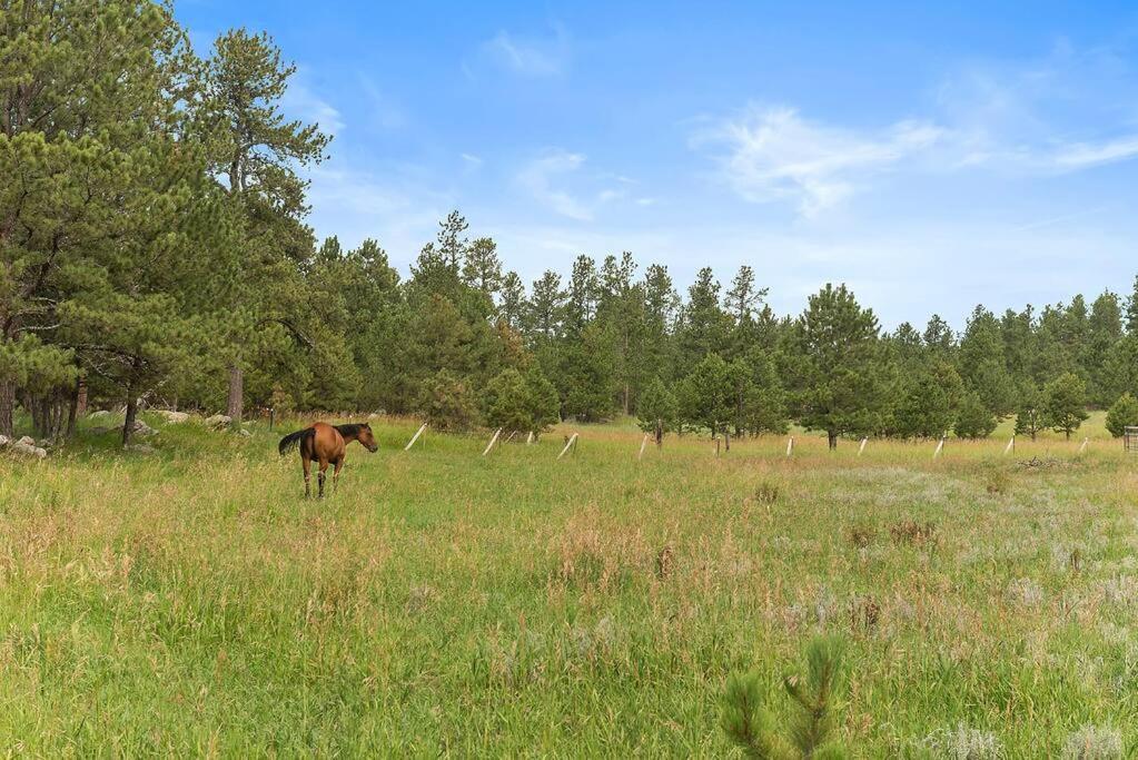 Papa'S Place On Willow Creek Custer Εξωτερικό φωτογραφία