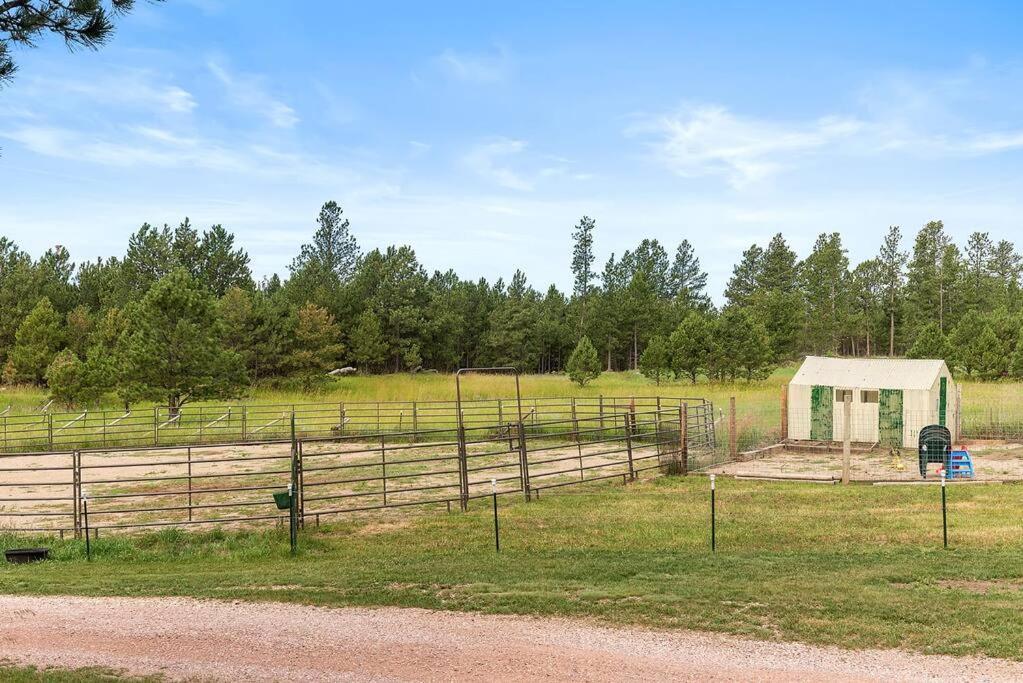 Papa'S Place On Willow Creek Custer Εξωτερικό φωτογραφία