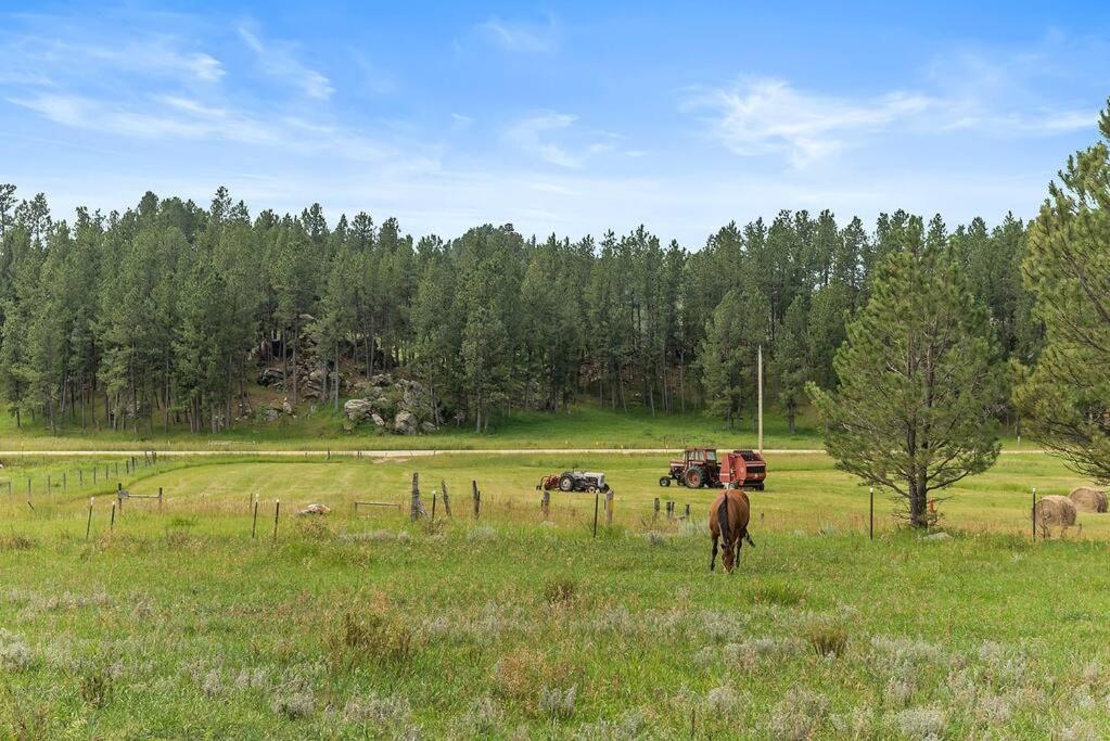 Papa'S Place On Willow Creek Custer Εξωτερικό φωτογραφία